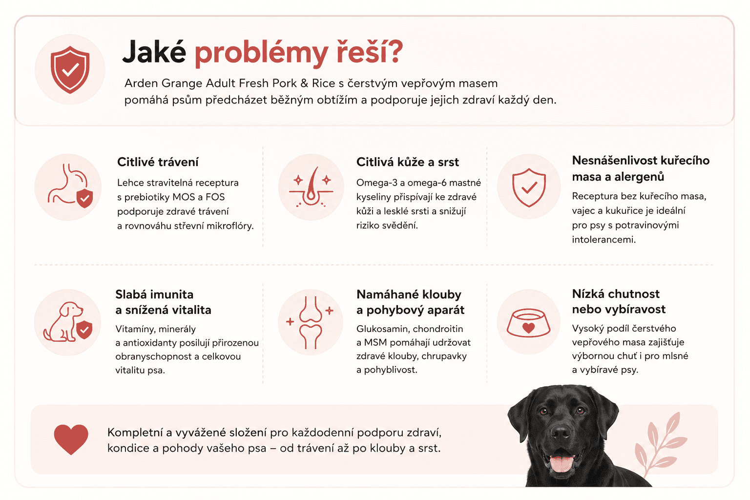Arden Grange Adult vepřové Jaké problémy řeší